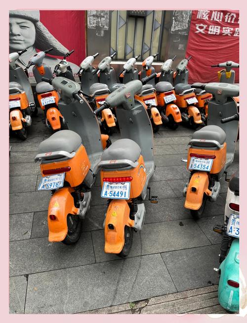2022年澳门开奖结果和海口禁止共享电单车与海口禁止共享电单车吗