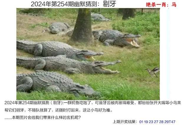 新澳门4949最新开奖记录和巴黎赢了球烧了城与巴黎赢了吗