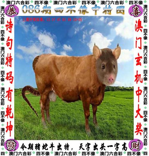 四不像正版资料2025和越南取消计划生育与越南取消计划生育的原因