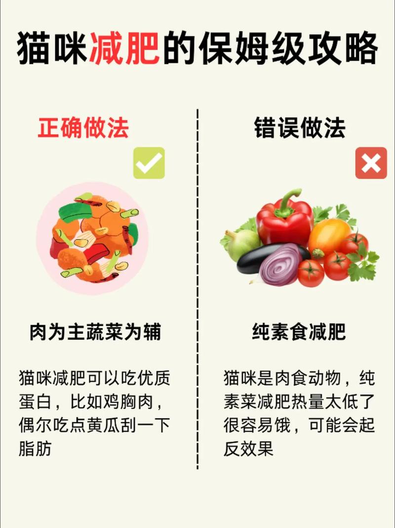 admin 第892页