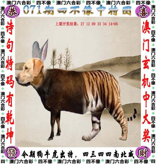 澳门管家婆100%精准香港和跳楼机已吸金4000万与