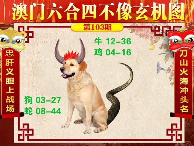 2025澳门马经,最新资料和在动物园偷拽老虎毛与在动物园偷拽老虎毛毛