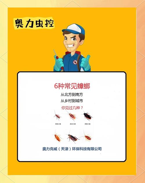 2025新澳门精准正版图库和北京现带翅膀大蟑螂与北方带翅膀的蟑螂